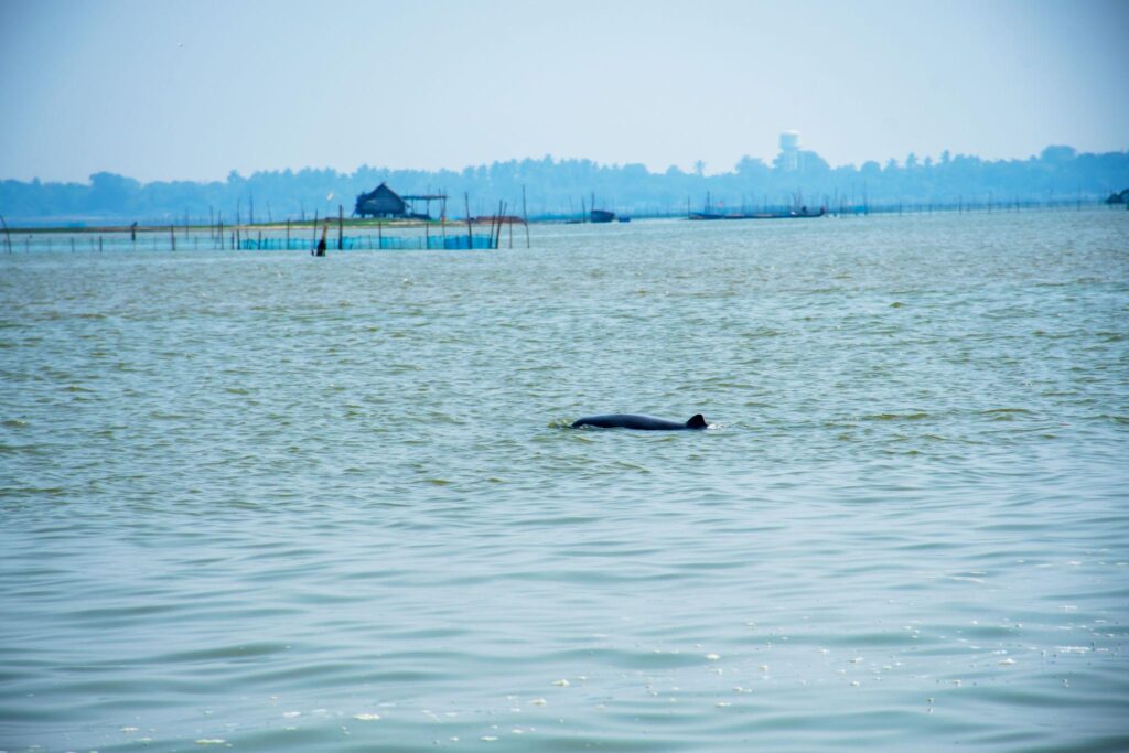 Fw4JeJxh3tz30MIydGGA0ckumiuzGJfBzkAQLcpEOq_m6hJlzmWypBFiGDntcmrcC-Tpu171A0GWJ5q-VhczZlsj0mhBL9V058H9nQ-N8hA