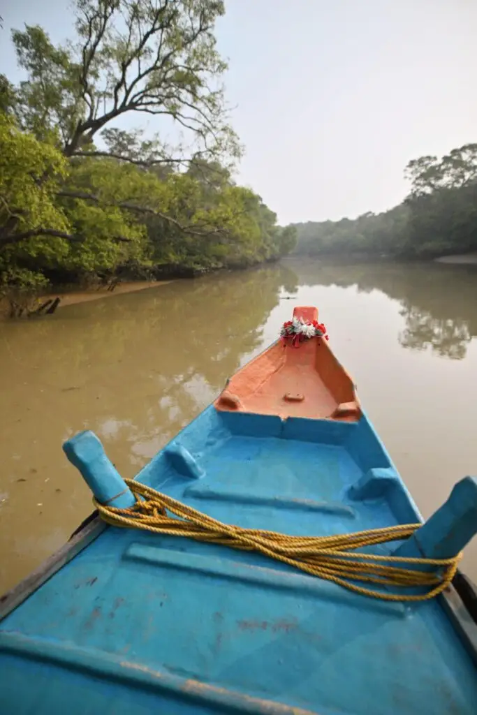 Sailing through backwaters of Bhitarkanika Mangrove Forest