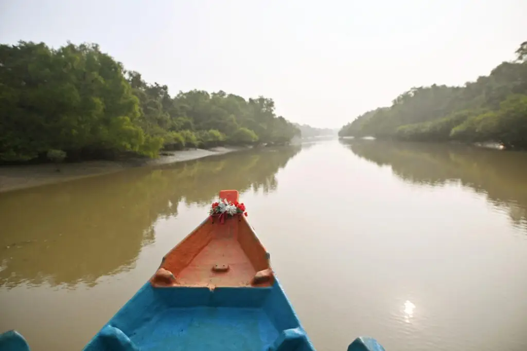 Sailing through backwaters of Bhitarkanika Mangrove Forest