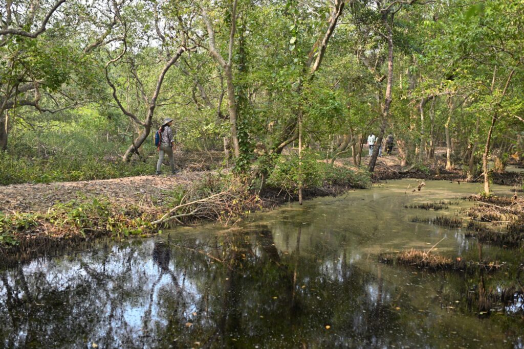 jelWqBDULnFdPTDcNMVplheY0U3x9-MC9MazciHlWKKAX_zC6dMs0H3oy8PeLB1QYcRvjUy2SKdluNqSv30k9I2lqcrcQJQ5qblM7HD_SL0