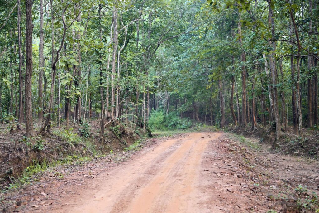 mGsvuQSxxLDhFKTbJBzGX-ylLvHVAo1B6bi4CiNIXSNLTwZBaqU6HgV637LUKwJXgCPBtcGZ7u5WNkMmyfgJXSTVQG6aQvk6-suvnagjtfc