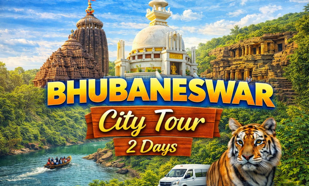 ChatGPT Image Feb 20, 2026, 04_04_12 AM