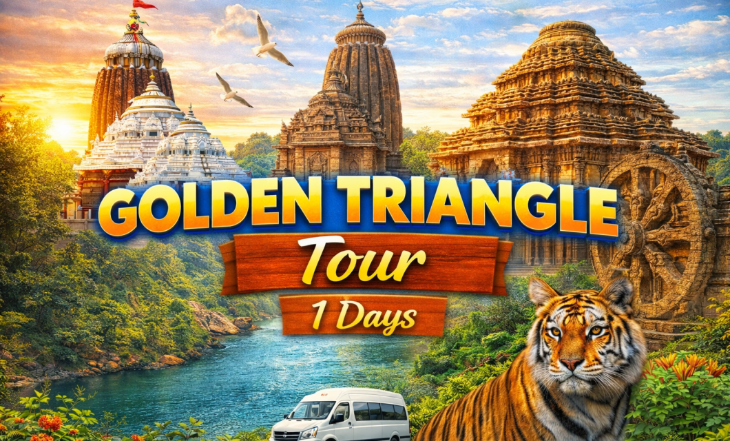 ChatGPT Image Feb 20, 2026, 04_06_36 AM