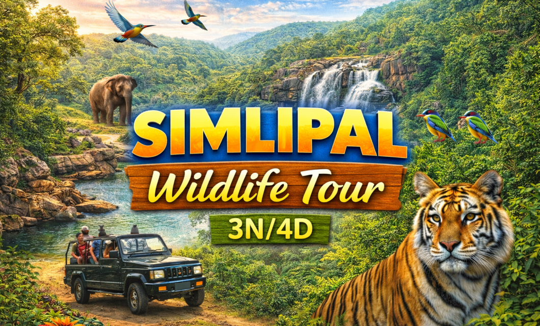 ChatGPT Image Feb 20, 2026, 04_08_20 AM